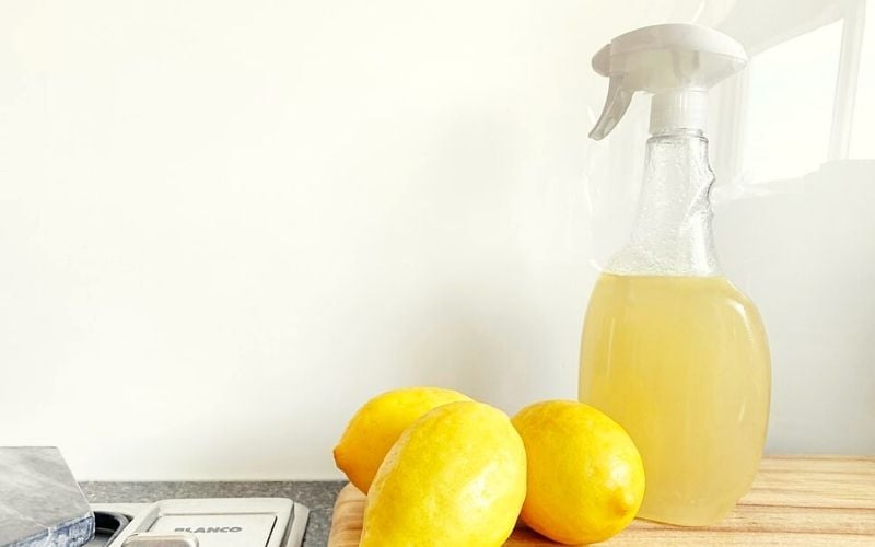 squeezed lemon in spraying bottle | How To Remove Rust From Your Gardening Tools | how to remove rust from tools