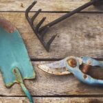 old rusted garden tools | How To Remove Rust From Your Gardening Tools | Featured