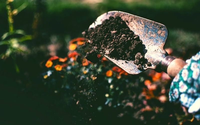 digging soil using shovel | Everything To Know About Growing Radishes In Containers | growing radishes