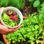 Person holding bowl of vegetables | How to Create Your Own Survival Garden | Featured