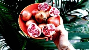 Person Holding Pomegranates | How To Store Pomegranate Seeds | Garden Season Tips | Featured