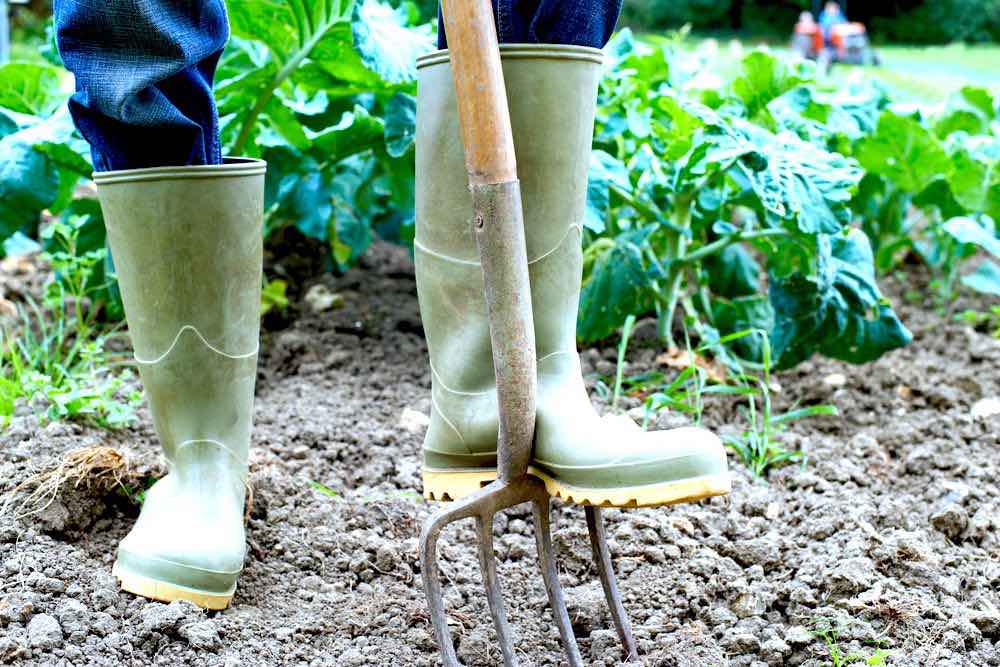 Person Working On Farm Field | 10 Essential Garden Tools To Complete Your Gardening Tool Kit