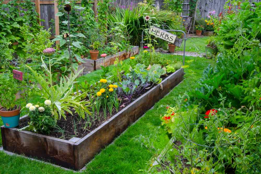 Plant Bed In Backyard | Starting A Garden This Spring | Easy Gardening Tips And Tricks