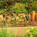 Raised garden bed with chili chives | Creative Raised Garden Bed Ideas: Yard Decor For Every Season | Featured