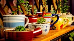 colorful mug planter | Adorable Coffee Mug Planter Ideas For Your Succulents | Featured