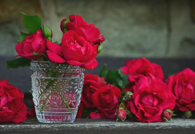 red roses bouquet of roses | 15 Best Red, White, and Blue Flowers For Your Labor Day Decorations