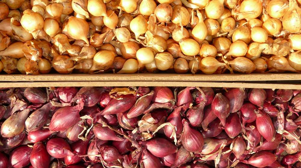 shallots on wooden box | Spring Vegetable Garden Plants Perfect For Spring Growing Season | vegetable garden plants | veggies to grow in spring