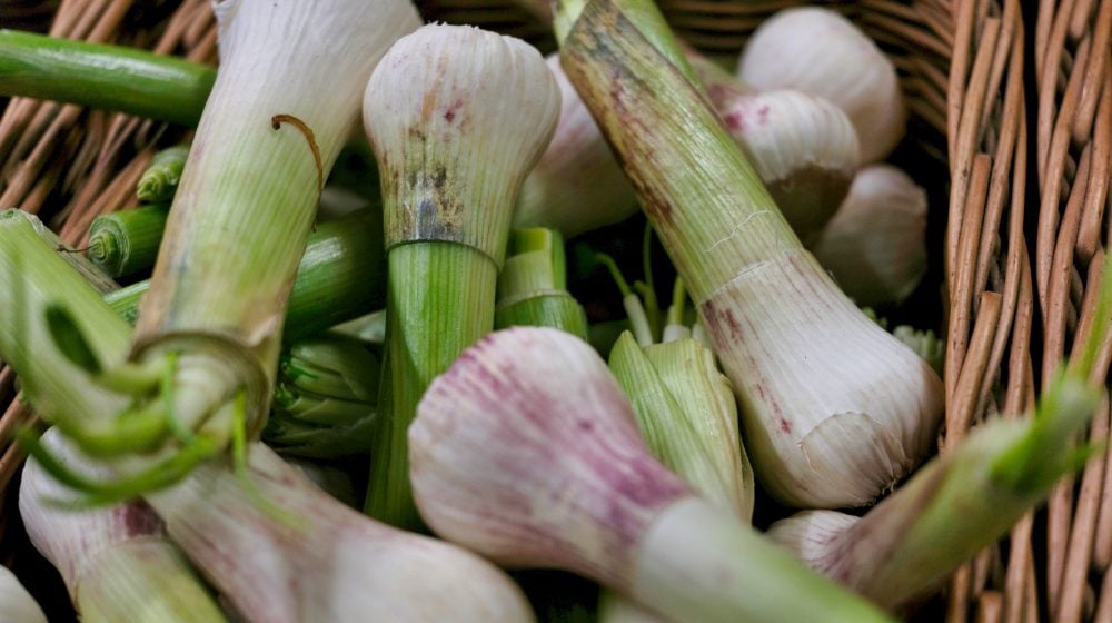 spring onions in wooden basket | Spring Vegetable Garden Plants Perfect For Spring Growing Season | vegetable garden plants | spring garden vegetables