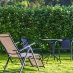 stay in the garden sunbed | What Is A Living Fence and How Do You Grow One | Featured