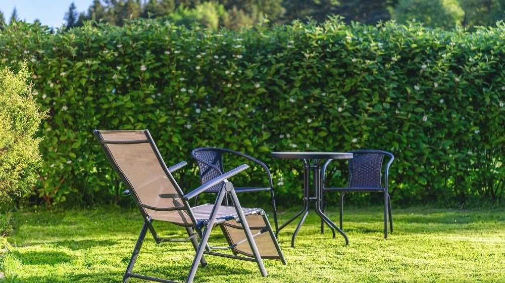 stay in the garden sunbed | What Is A Living Fence and How Do You Grow One | Featured