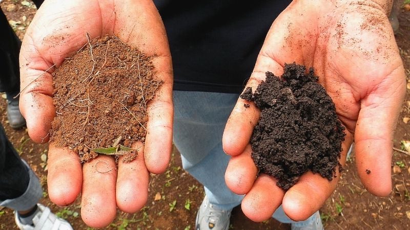 texture arid soil types samples | How To Choose The Best Type Of Lawn Soil For Your Garden