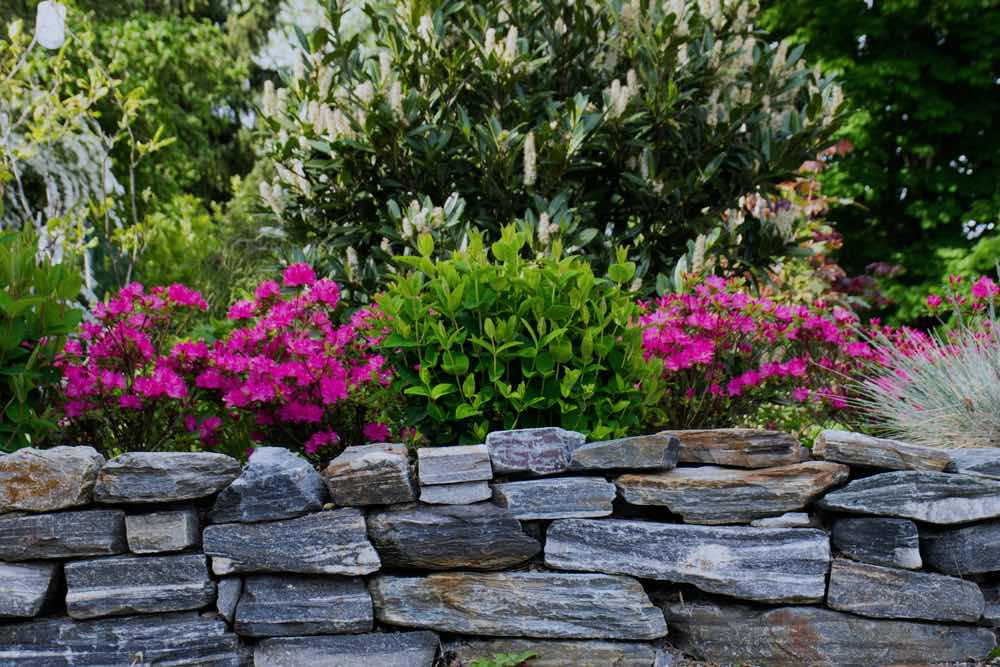 Walled Garden Flowers | Front Garden Ideas You Can Use For Small Spaces