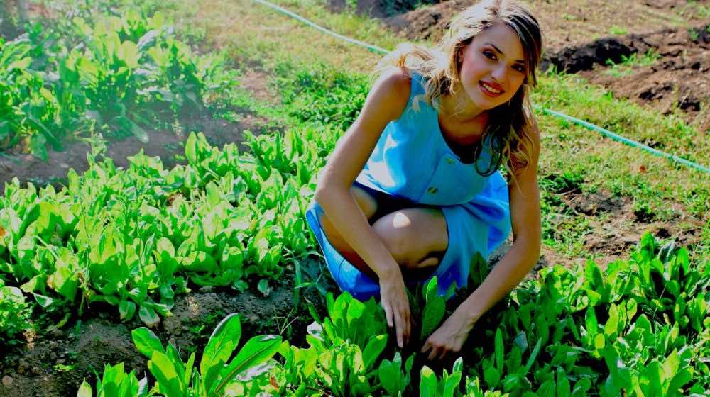 Woman Planting Crops | 10 Easy Vegetable Gardening Tips To Achieve An Abundant Harvest | Featured
